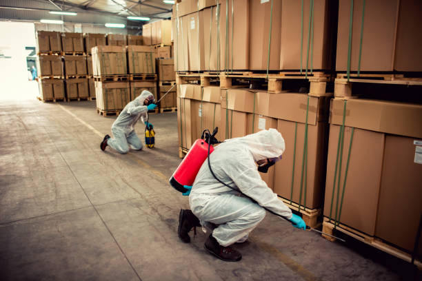Best Pest Inspection Near Me  in Amery, WI