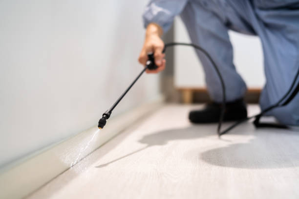 Wildlife Control Services in Amery, WI