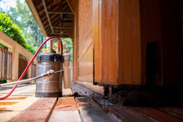 Best Local Pest Control Services  in Amery, WI