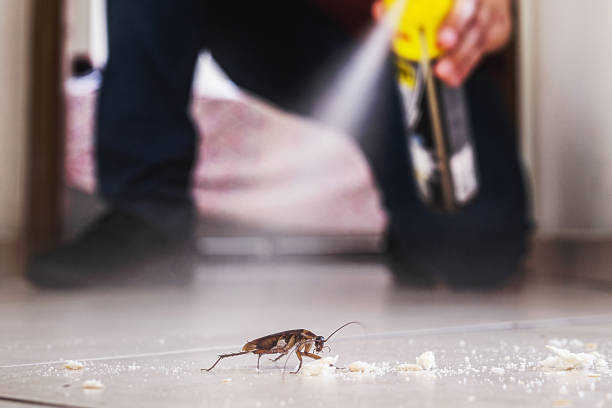 Pest Prevention Services in Amery, WI